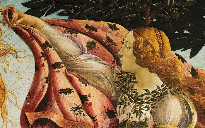 venus botticelli1
