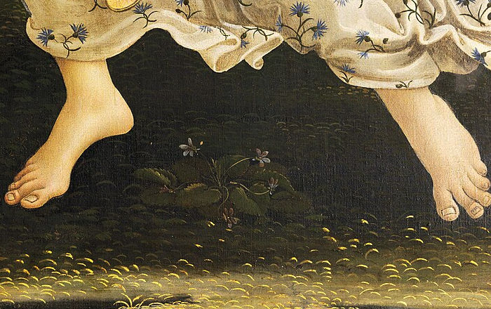 venus botticelli1