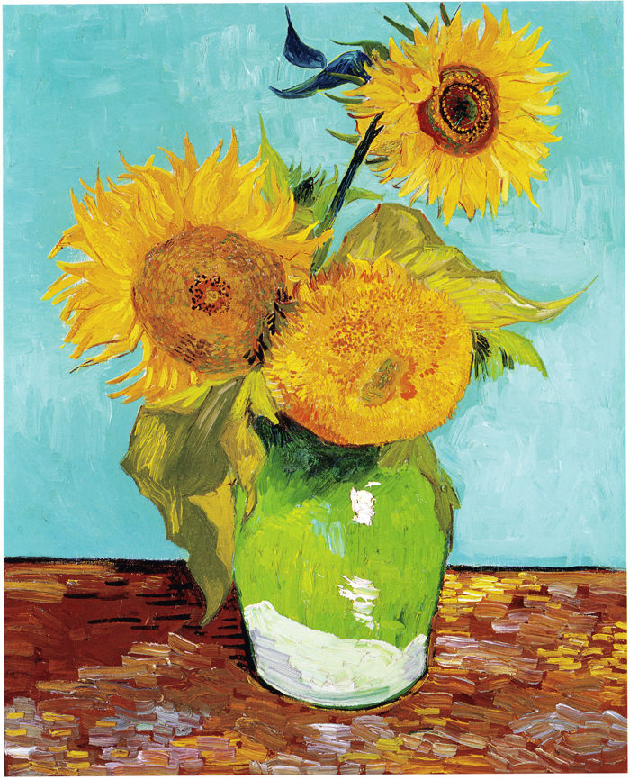 girasoles1