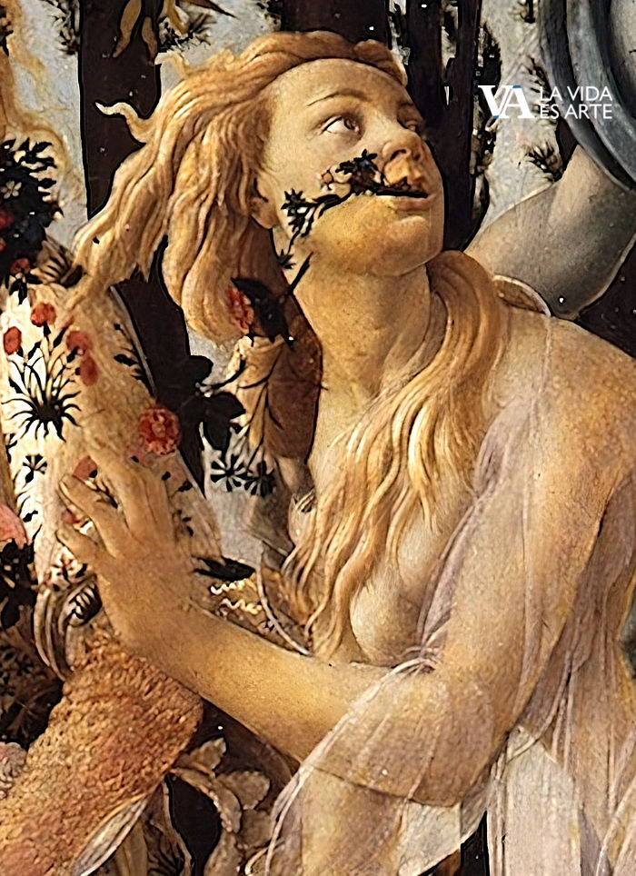 simonetta2